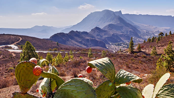 Gran Canaria